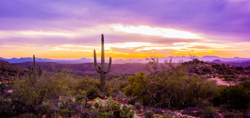 Arizona Sunset