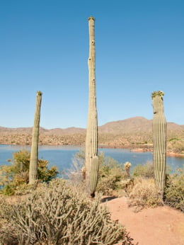 Bartlett Lake, AZ
