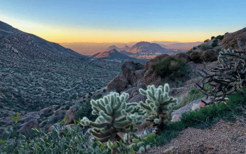 Best Phoenix Neighborhood Desert View