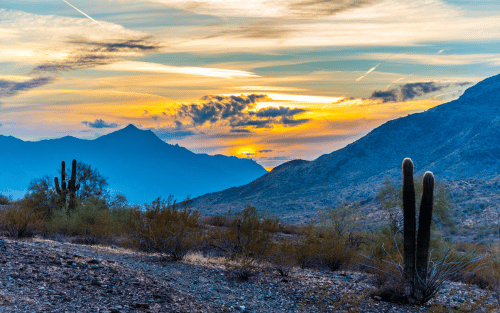 Best Phoenix Neighborhood Goodyear