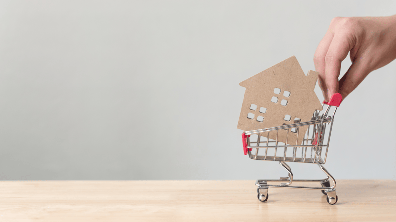 house-in-shopping-cart