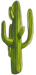 cactus-1