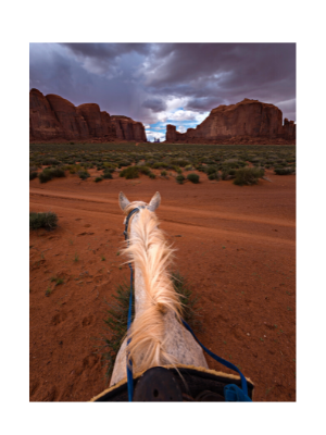 scenice-arizona-desert-horseback-riding