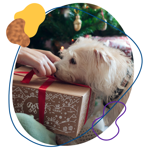 Unwrapping a gift with a family dog
