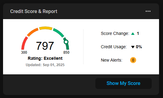 Credit Score Snip