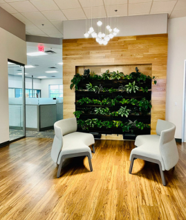 Ops Plant Wall