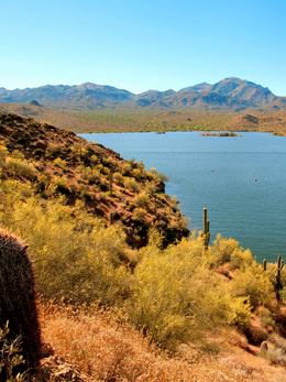 Bartlett Lake, Arizona