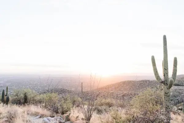 Arizona Desert (1)