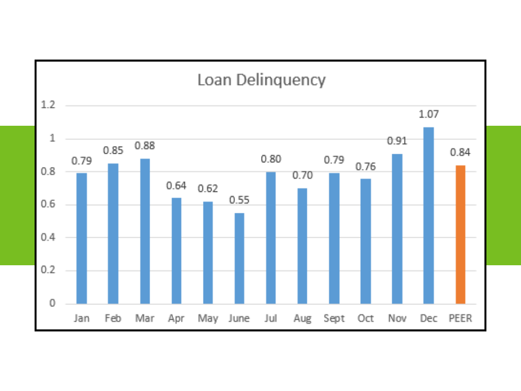 Loan Delinquency 