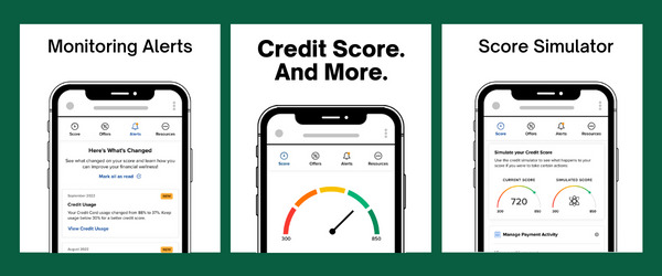 Credit Score and More
