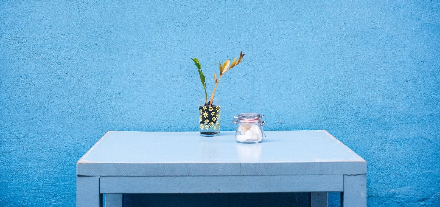blue wall table with plants at home